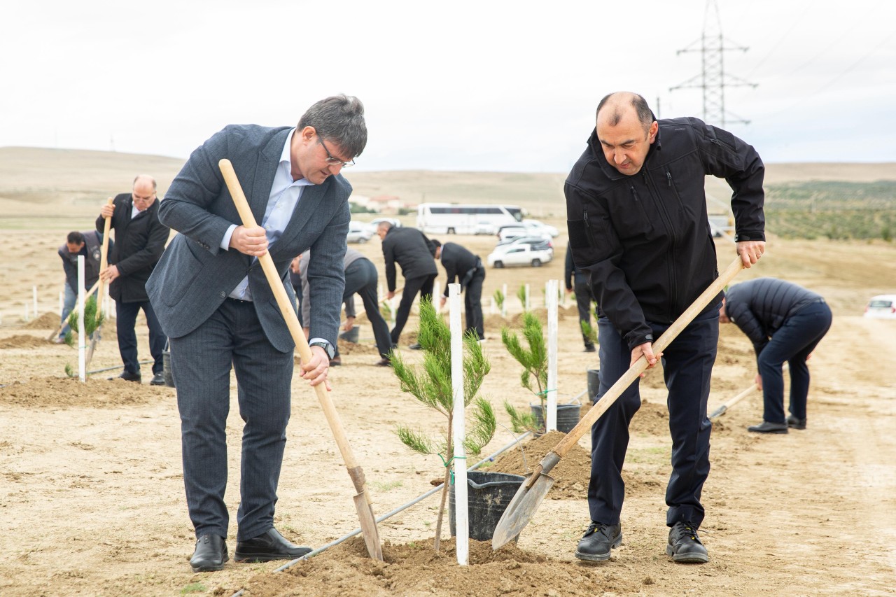 ETSN kollektivi şəhidlərin əziz xatirəsini yad edib - FOTOLAR